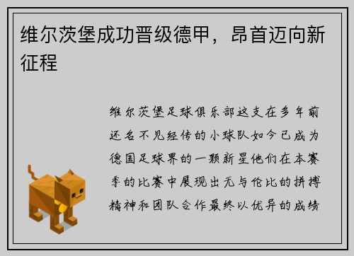 维尔茨堡成功晋级德甲，昂首迈向新征程